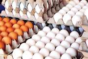 در هنگام خرید تخم مرغ به تاریخ روی تخم مرغ دقت کنید.