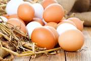  توصیه‌های بهداشتی در هنگام خرید تخم مرغ