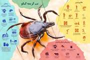 هشدار شبکه دامپزشکی زرند در خصوص شیوع تب کریمه کنگو