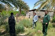 برگزاری اردوی جهادی دامپزشکی مبارزه با بیماری تب کریمه کنگو
