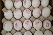 توصیه های دامپزشکی گنبکی در خرید تخم مرغ سالم
