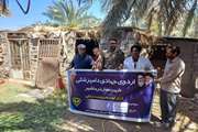    اردوی جهادی دو روزه دامپزشکی در مناطق روستایی و عشایری بخش روداب شهرستان نرماشیر 