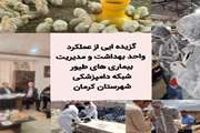 فتوکلیپ  گزیده ایی از عملکرد واحد بهداشت و مدیریت  بیماری های  طیور شبکه  دامپزشکی شهرستان کرمان 