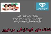 کلیپ:نشانه های گرما زدگی در طیور