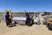 برگزاری اردوی جهادی دامپزشکی زرند به مناسبت هفته دولت در روستای گوراب جمعه