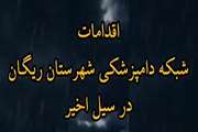 فتوکلیپ :اقدامات شبکه دامپزشکی شهرستان ریگان در سیل اخیر