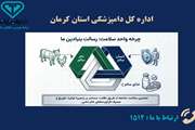  اینفوگرافی  رسالت بنیادین دامپزشکی 