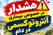 اینفوگرافی: هشدار در خصوص بیماری آنتروتوکسمی در دام