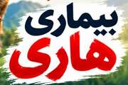 اینفوگرافی: بیماری هاری