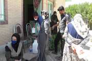 اجرای طرح واکسیناسیون طیور بومی در شهرستان رابر