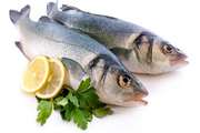 توصیه‌های دامپزشکی به خریداران ماهی تازه و منجمد 