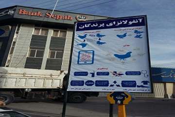 اطلاع رسانی شبکه دامپزشکی شهرستان بافت در سطح شهر با موضوع آنفلوآنزای پرندگان 