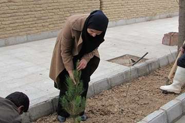 گزارش تصویری : درختکاری مدیر کل دامپزشکی استان و همکاران در محل اداره کل دامپزشکی استان