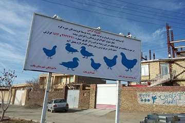 اطلاع رسانی شبکه دامپزشکی شهرستان بافت در سطح شهر با موضوع آنفلوآنزای پرندگان 