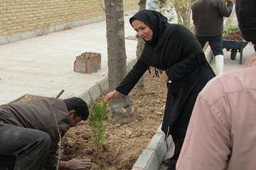 گزارش تصویری : درختکاری مدیر کل دامپزشکی استان و همکاران در محل اداره کل دامپزشکی استان