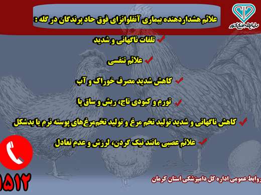 توصیه های بهداشتی روابط عمومی اداره کل دامپزشکی استان کرمان در خصوص بیماری آنفلوانزای فوق حاد پرندگان  (1) 