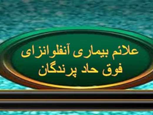 توصیه های بهداشتی روابط عمومی اداره کل دامپزشکی استان کرمان در خصوص بیماری آنفلوانزای فوق حاد پرندگان (3)
