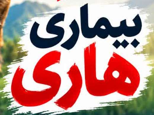 اینفوگرافی: بیماری هاری