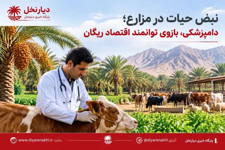 نبضِ حیات در مزارع؛ دامپزشکی، بازوی توانمند اقتصاد ریگان