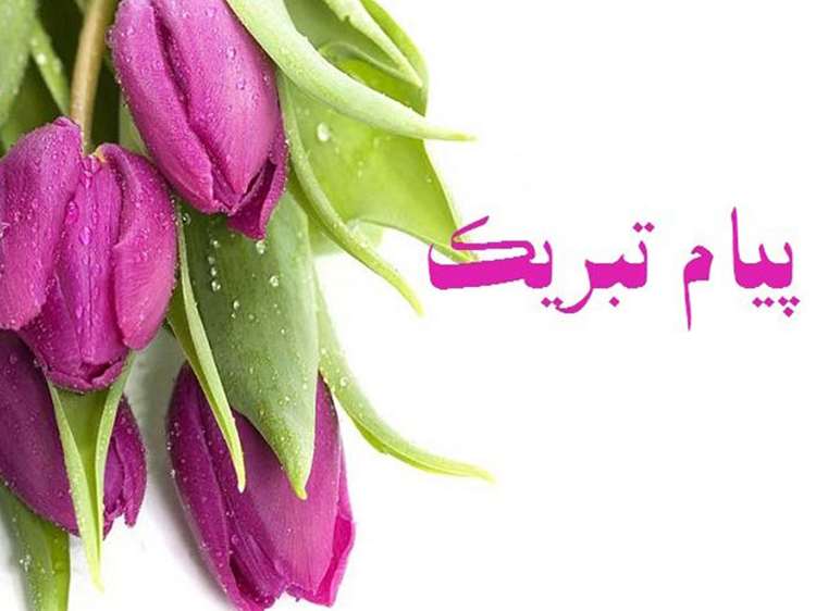 پیام تبریک رئیس دانشگاه علوم پزشکی کرمان به مناسبت هفته دامپزشکی