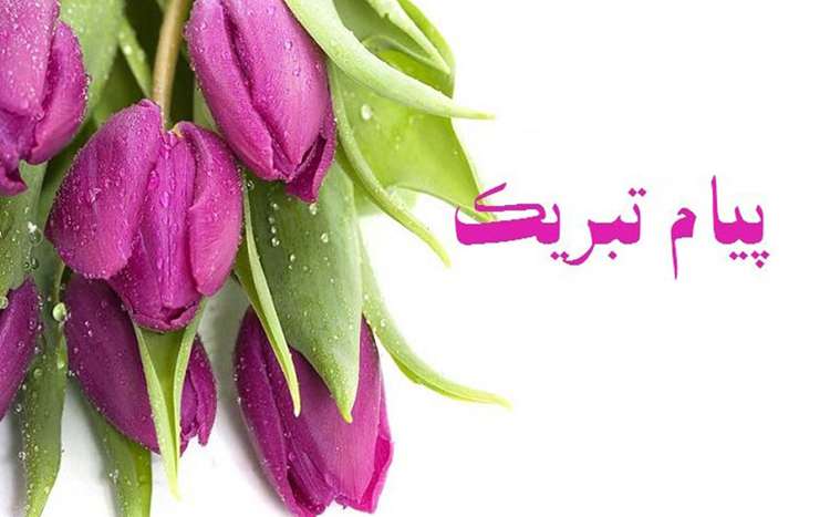 پیام تبریک مدیر شعب بانک کشاورزی استان کرمان به مناسبت روز ملی دامپزشکی