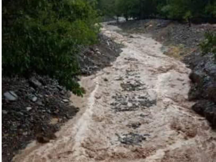 هشدار دامپزشکی به دامداران در پی پیش‌بینی بارندگی‌های شدید و خطر بروز خسارت در شهرستان رابر