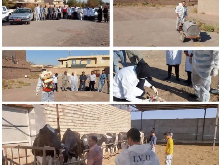 مانور آنفلوانزای فوق‌حاد پرندگان در رفسنجان برگزار شد