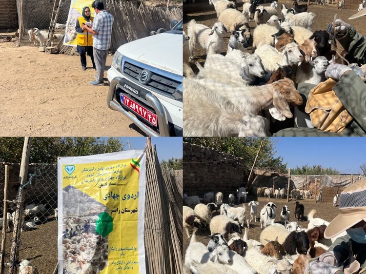 روستای ابراهیم‌آباد رابر میزبان اردوی جهادی دامپزشکی در هفته پدافند غیرعامل با شعار “حفاظت فردی و سلامت عمومی”