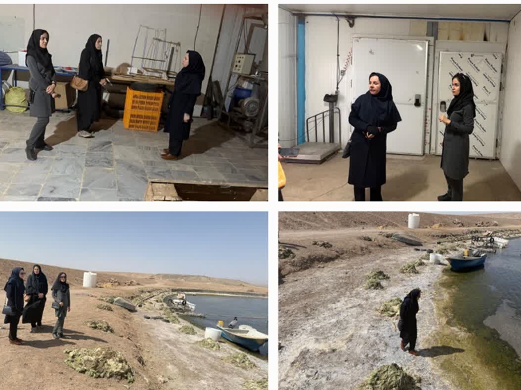 بازدید مسئول اداره بهداشت و بیماریهای آبزیان استان از مرکز تکثیر و پرورش آرتمیا 