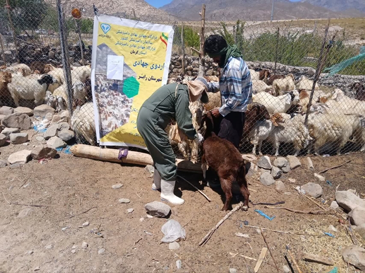       برگزاری اردوی جهادی توسط اداره دامپزشکی شهرستان رابر