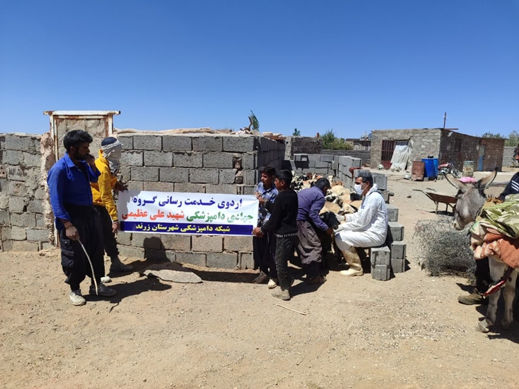 برگزاری اردوی جهادی دامپزشکی زرند به مناسبت هفته دولت در روستای گوراب جمعه