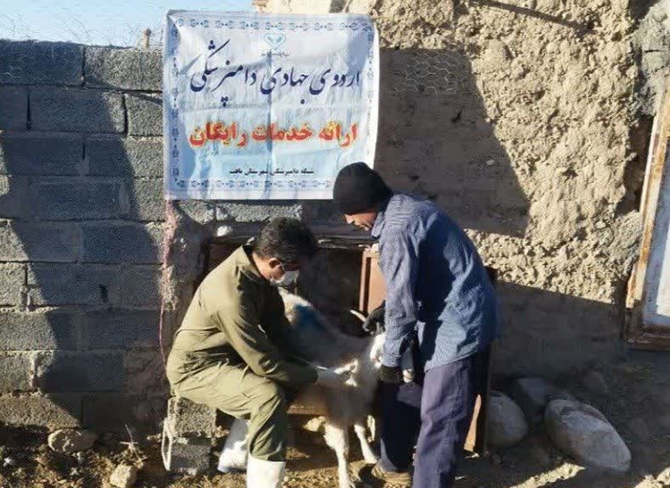 برگزاری اردوهای جهادی اداره دامپزشکی بافت در روستاهای مختلف شهرستان 