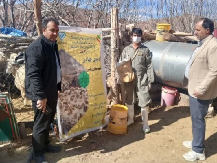 برگزاری اردو جهادی در روستای امیر آباد شهرستان رابر در ایام الله دهه فجر