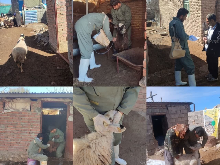 همزمان با ایام‌الله دهه مبارک فجر اردوی جهادی دامپزشکی در روستاهای زردالوئیه و میدان در شهرستان رابر برگزار گردید.