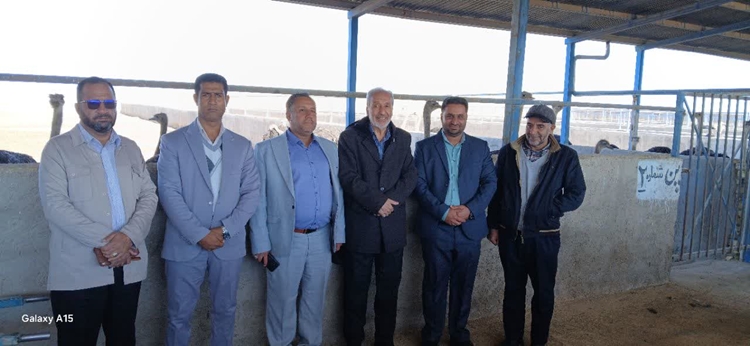 بازدید رئیس شبکه دامپزشکی شهرستان ریگان از پروژه تحقیقاتی تولید خوراک دام و طیور در اصفهان 