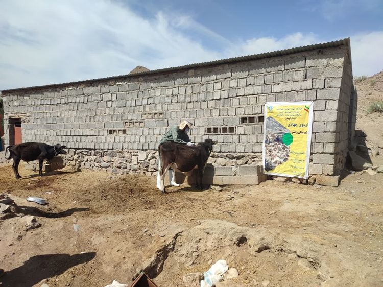 برگزاری سومین اردوی جهادی در سال جدید توسط شبکه دامپزشکی شهرستان رابر