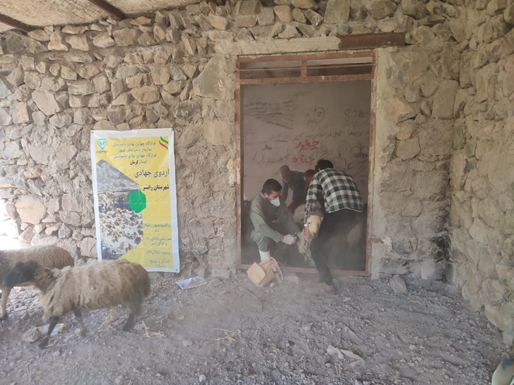 برگزاری چهارمین اردوی جهادی توسط اداره دامپزشکی شهرستان رابر